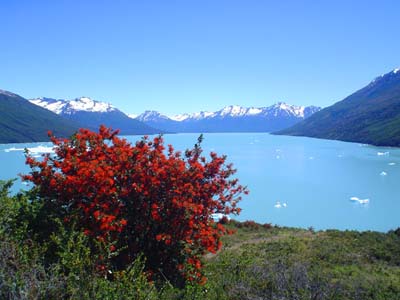 Lago Argentino2