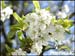 a-printemps-01