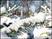d-hiver-01