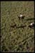 gauchos-en-accion-0181