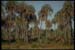 parque-nacional-del-palmar-0017
