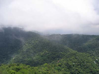 08-FORESTA-TIJUCA